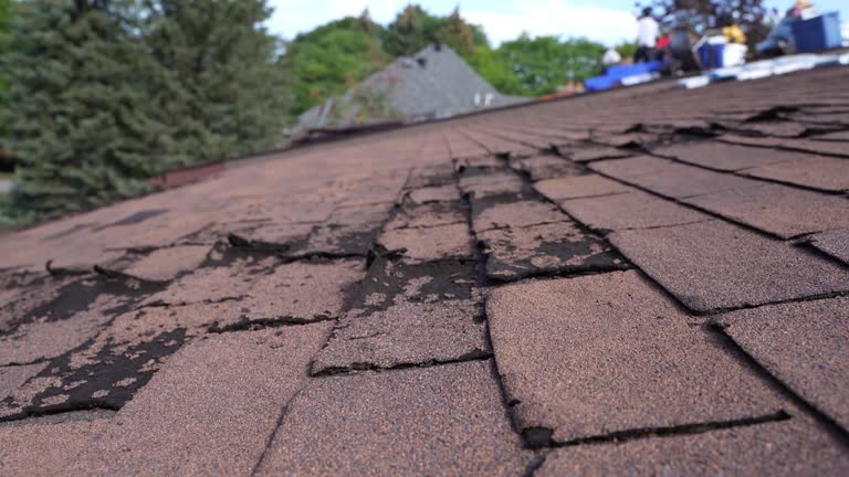 Best Rubber Roofing (EPDM, TPO)  in Spearman, TX